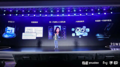 企业出海打制高效处理方案